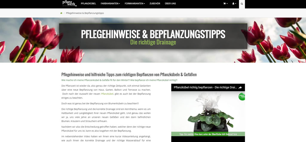 Pflegehinweise bei Pflanzwerk