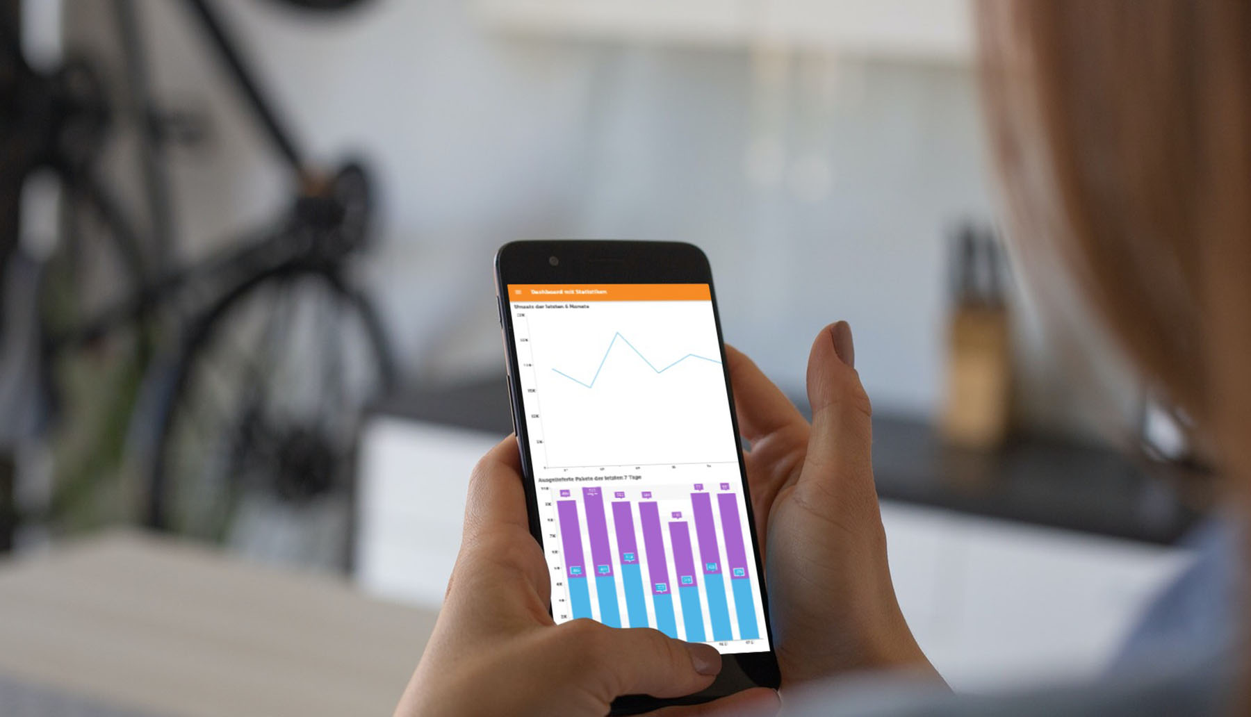 JTL-Wawi App: Statistiken im Dashboard