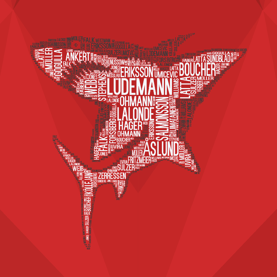 JTL-Mitarbeiter Max entwirft als freiberuflicher Grafikdesigner Fanartikel für die Kölner Haie.