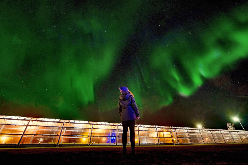 Mitarbeiter-Interview Jana: Nordlichter