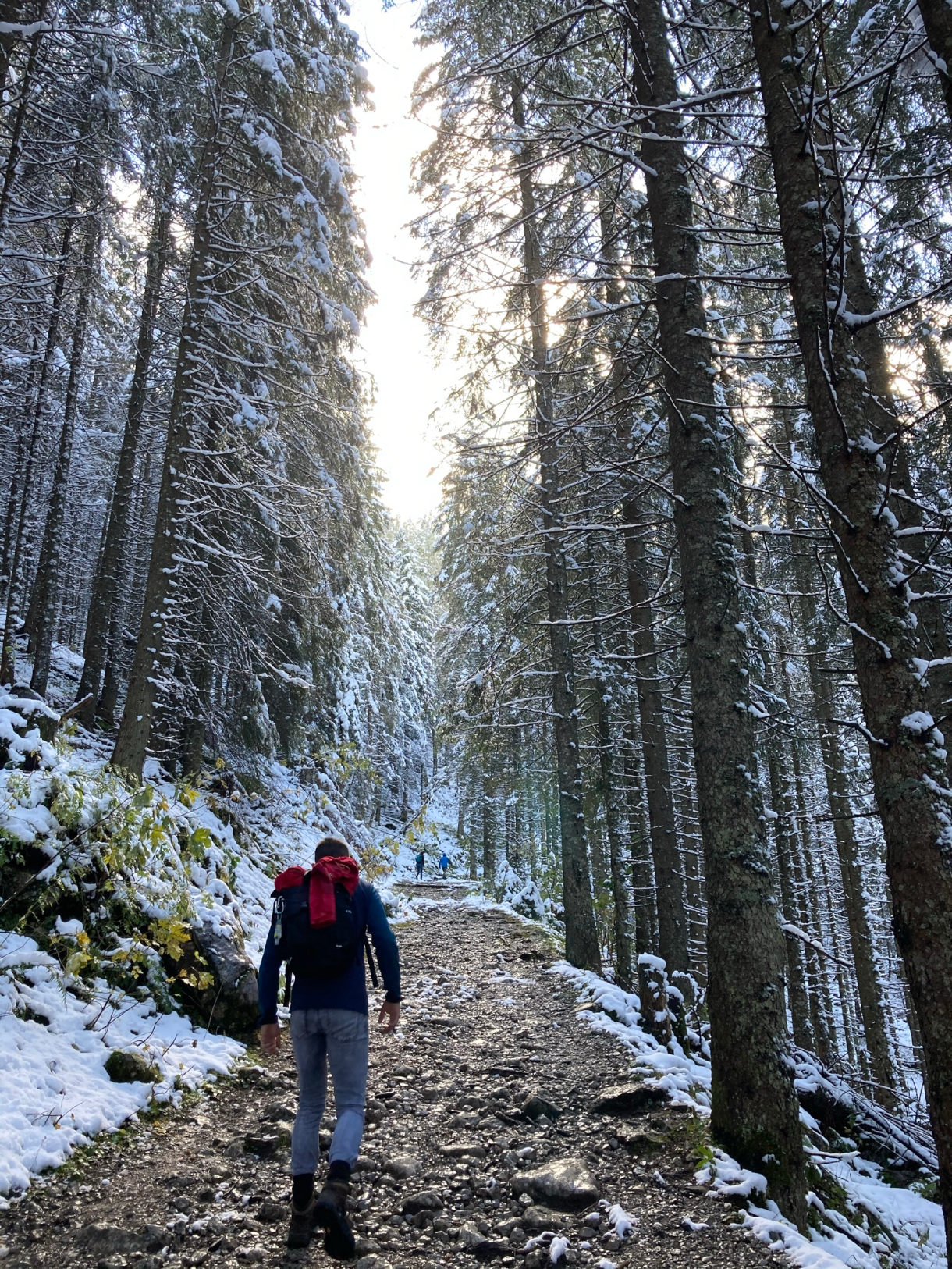 Felix wandert im Winter