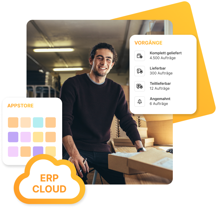 Warenwirtschaft Cloud Lösung JTL-Wawi im Zugriff